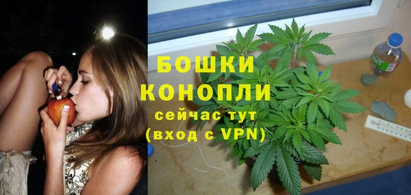 шишки Алексеевка
