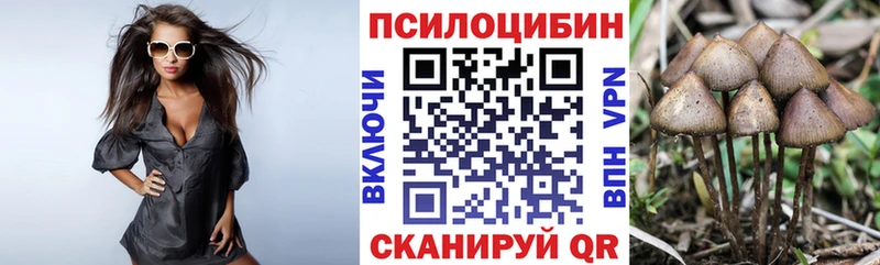Псилоцибиновые грибы MAGIC MUSHROOMS  Чебаркуль 